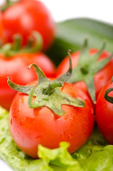 Pepinos y tomates listos para ensalada — Foto de Stock