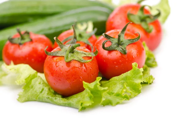 Огурцы и помидоры готовы к салату — стоковое фото