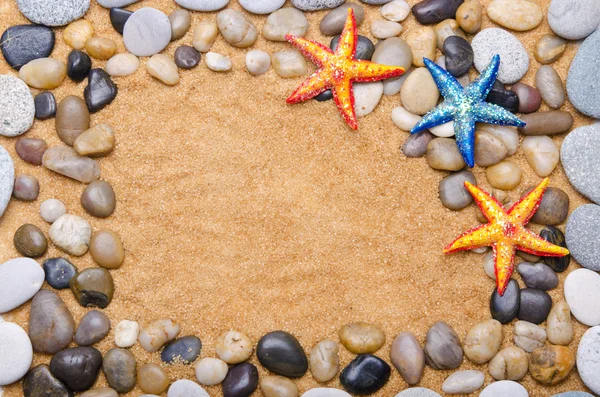 stock image Sea stars isolated on the white