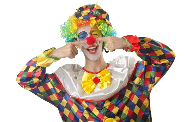 Zabawny clown na biały — Zdjęcie stockowe