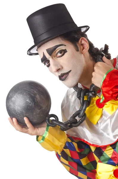 Trieste clown op de witte — Stockfoto