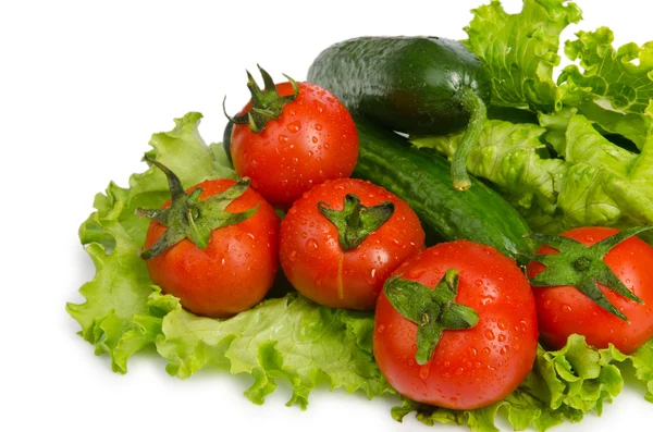 Pepinos e tomates prontos para salada — Fotografia de Stock