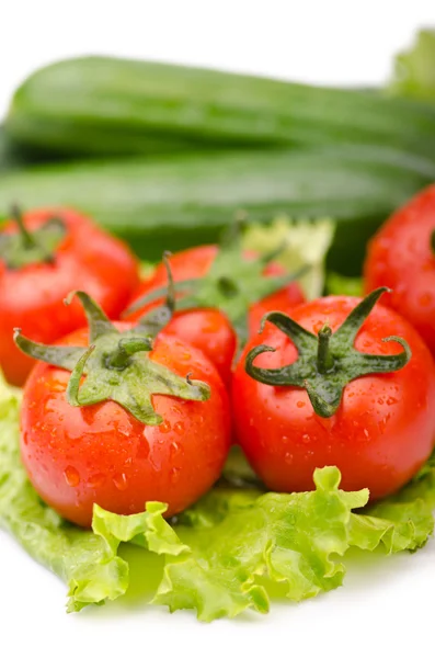黄瓜和西红柿准备沙拉 — 图库照片