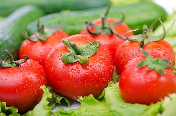 Tomates et concombres prêts pour la salade — Photo