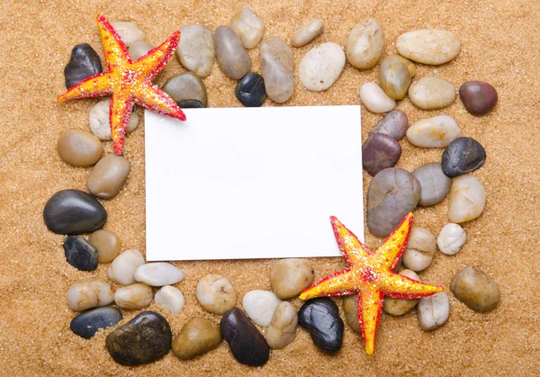 stock image Sea stars isolated on the white