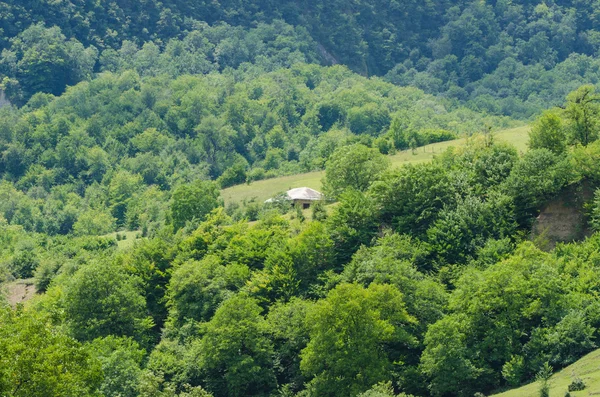 stock image Mountain landscape in summer day