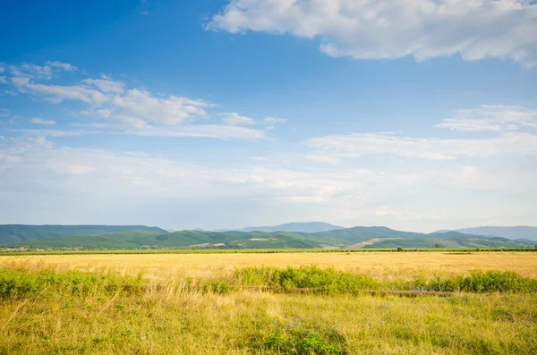 Dull countryside landscape in summer evening — Stock Photo, Image