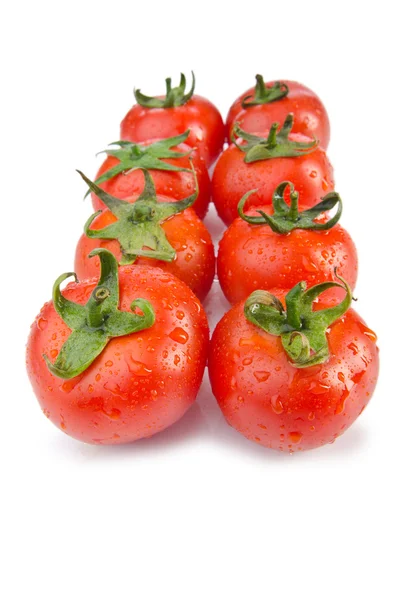 Tomates frescos aislados en el blanco — Foto de Stock
