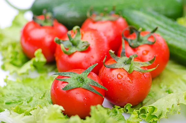 Tomates et concombres prêts pour la salade — Photo