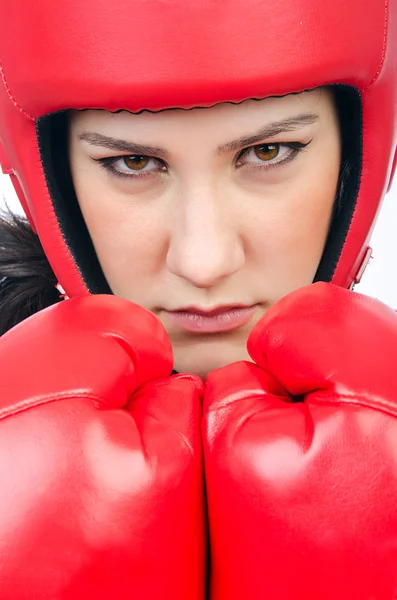 Женщина боксер на белом фоне — стоковое фото