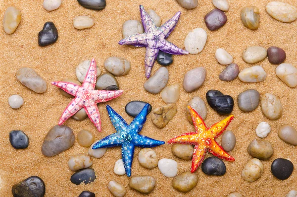 stock image Sea stars isolated on the white