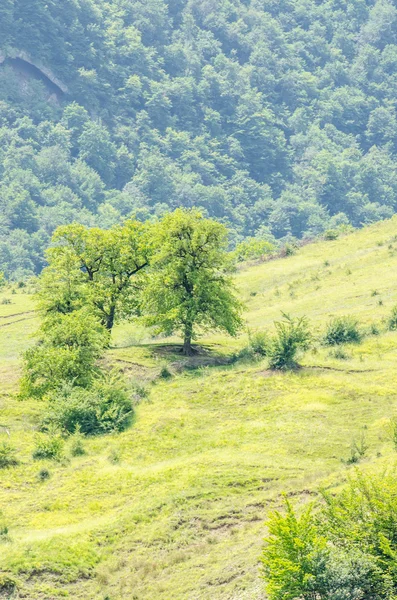 stock image Mountain landscape in summer day