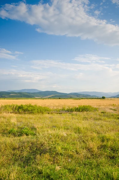 Dull countryside landscape in summer evening — Stock Photo, Image