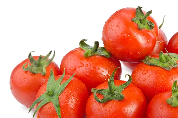 Frische Tomaten isoliert auf der weißen — Stockfoto