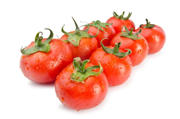 孤立在白色的新鲜番茄 — 图库照片