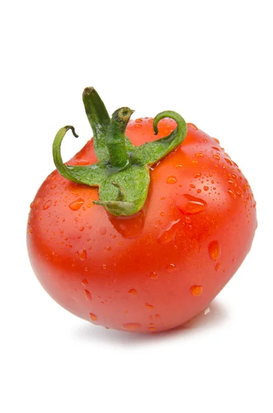 Verse tomaten geïsoleerd op de witte — Stockfoto