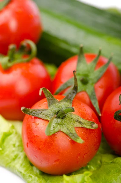 Komkommers en tomaten klaar voor salade — Stockfoto