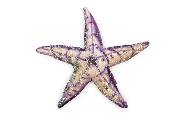 stock image Sea stars isolated on the white