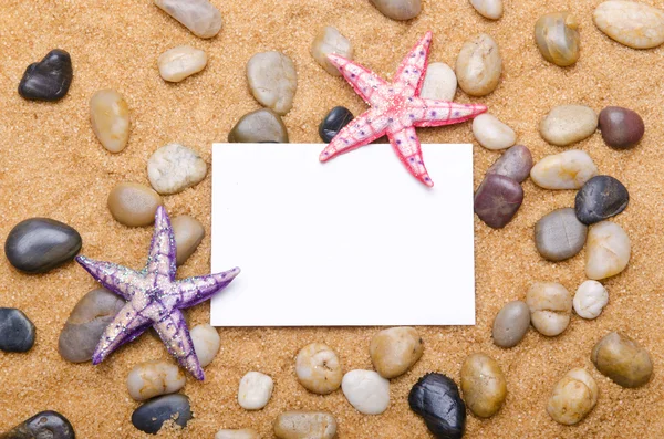 stock image Sea stars isolated on the white