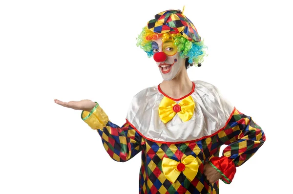 Funny clown on the white Stock Image