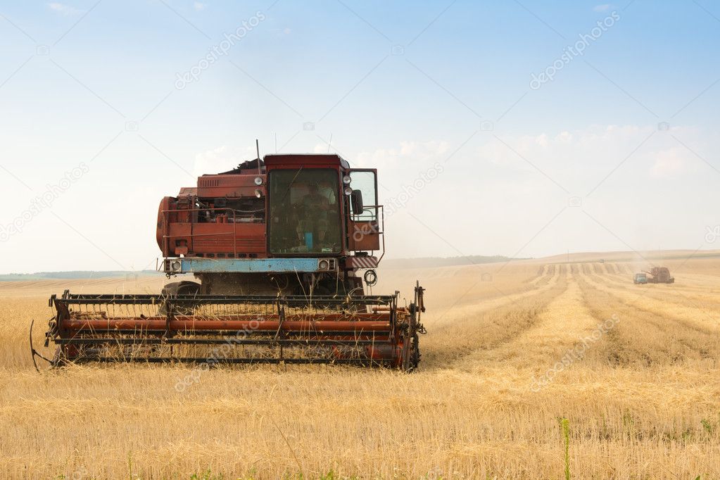 Grain harvester combine in field