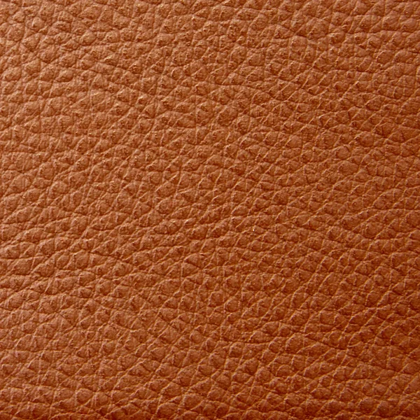 Leather Royalty Free Stock Images