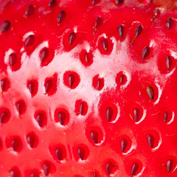 宏草莓 — 图库照片#
