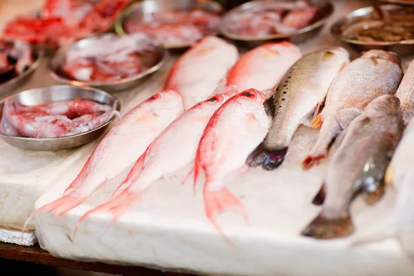Рынок морепродуктов — стоковое фото