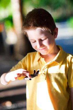 Cute boy holding baby turtle clipart