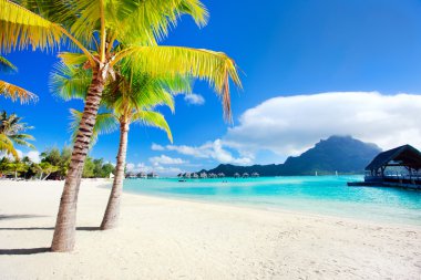 Bora Bora beach clipart