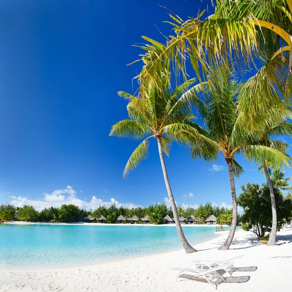 ボラボラ島の完璧なビーチ — ストック写真
