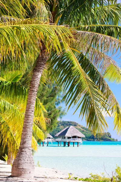 Spiaggia di Bora Bora — Foto Stock