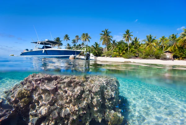 French Polynesia — Stock Photo, Image