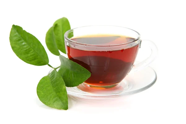 茶和绿色叶 — 图库照片