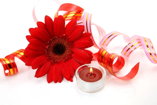 Flower and candles — Stockfoto
