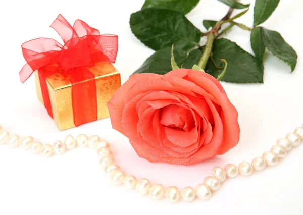 Fijne rose en cadeau — Stockfoto