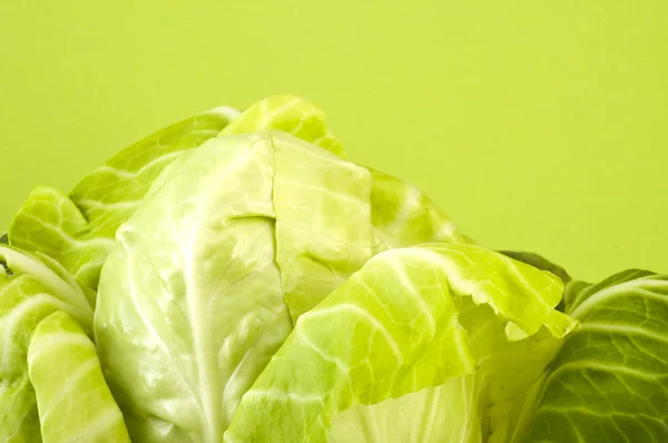 Fresh cabbage on green — Stock Photo, Image