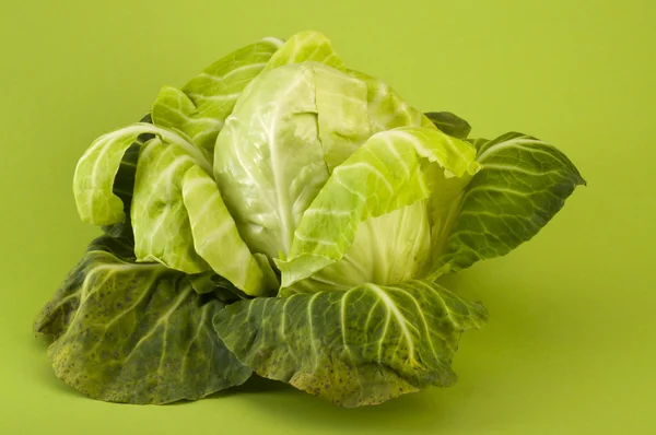 Fresh cabbage on green background — Stock Photo, Image