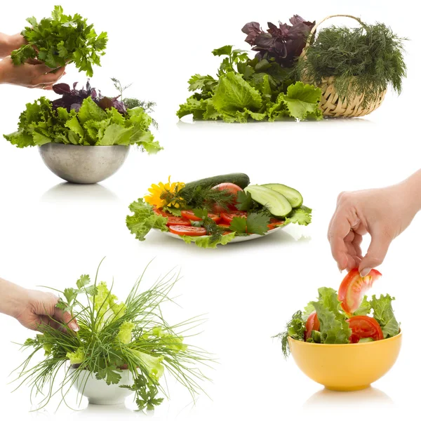 Fresh herb collage — Stock Photo, Image
