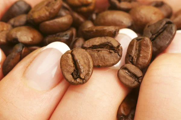 Granos de café en la mano —  Fotos de Stock