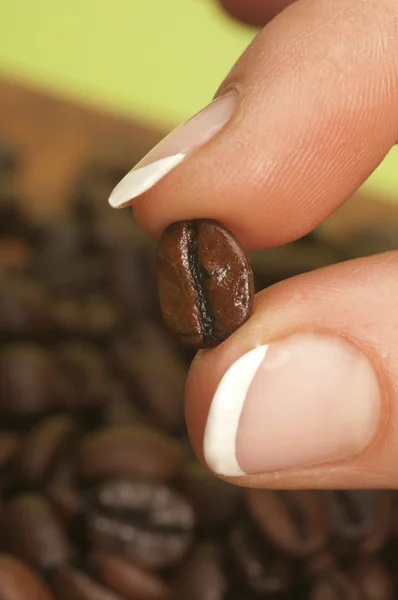 Coffee beans in hand — Stock Photo, Image
