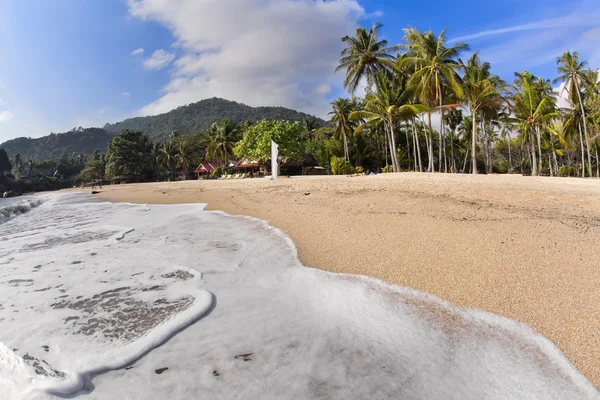 Tropická pláž s kokosovými palmami — Stock fotografie