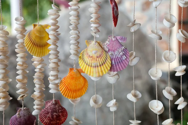 Seashells on threads — Stock Photo, Image