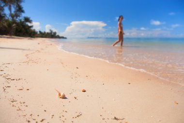 Seashell makro görünümü üzerinde bulanık kadın