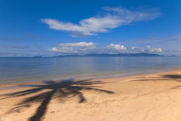 Palm tree shadow on the beach — Stock Photo, Image