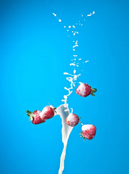 草莓闪屏 — 图库照片