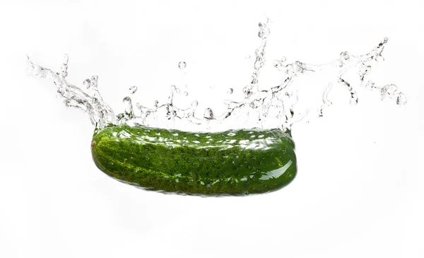 Vattenstänk med gurka — Stockfoto