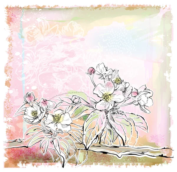 Эскиз цветущей яблони — стоковый вектор