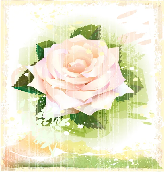 Vintage illustration of pink rose — Stock Vector
