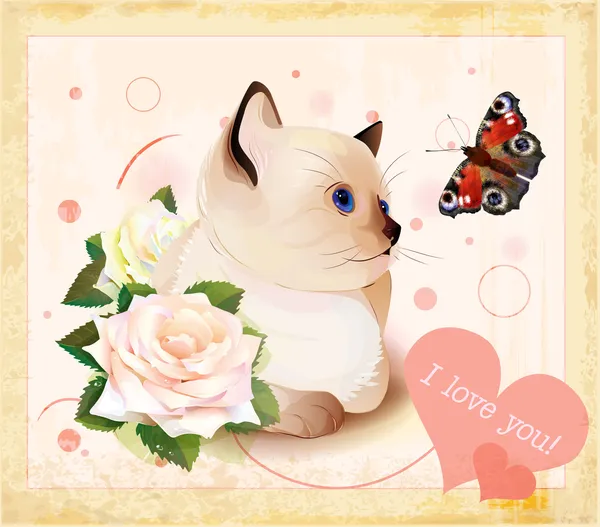 Valentines day greeting card with kitten, butterfly and roses — Stock Vector